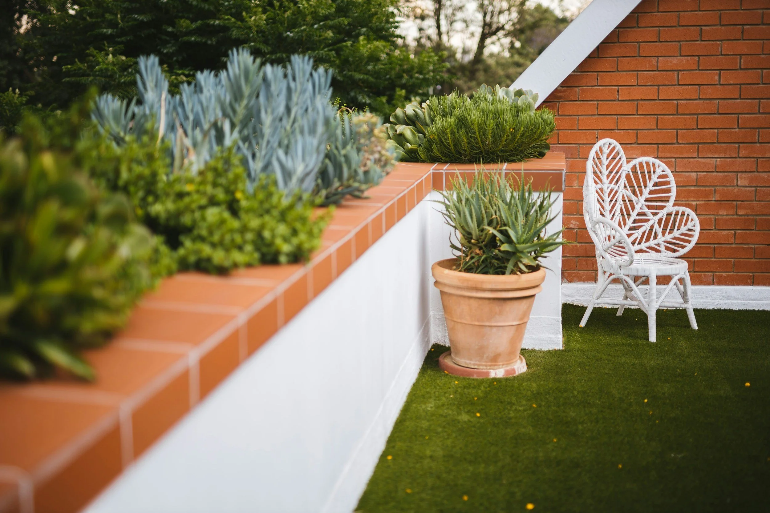 A small outdoor patio area with a brick wall, potted succulents on a white wall, a white wicker chair, and a green lawn with scattered yellow flowers.