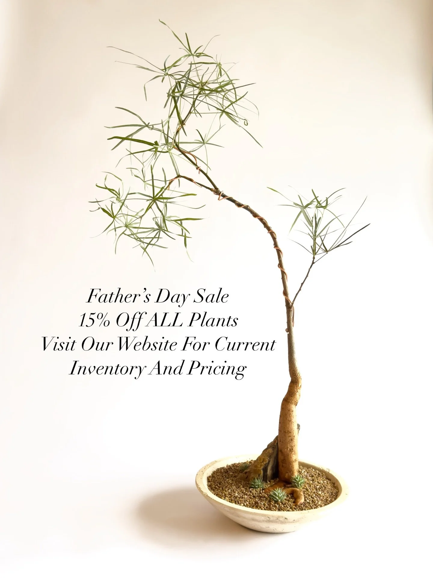 Need a gift for your plant daddy this Father&rsquo;s Day? We&rsquo;ve got you covered. Check out our website 🔗 in our profile to see current inventory and pricing. (Delivery in Chicago included in price!) Offer ends 6/21/2026

Want an extra 5% off? 