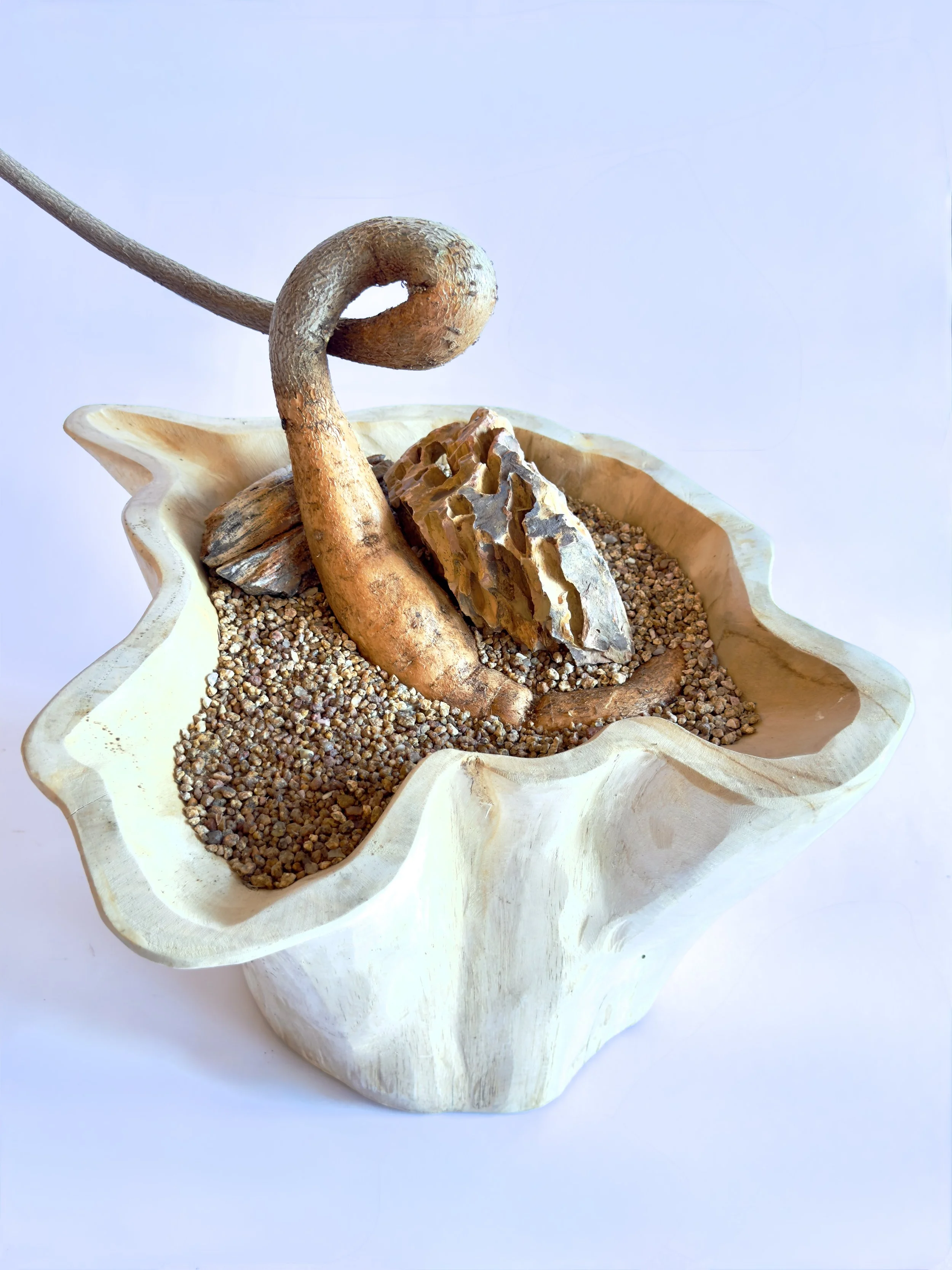 A wooden bowl filled with small pebbles, containing a natural driftwood piece and a large shell and stone decorative elements. Chicago plants.