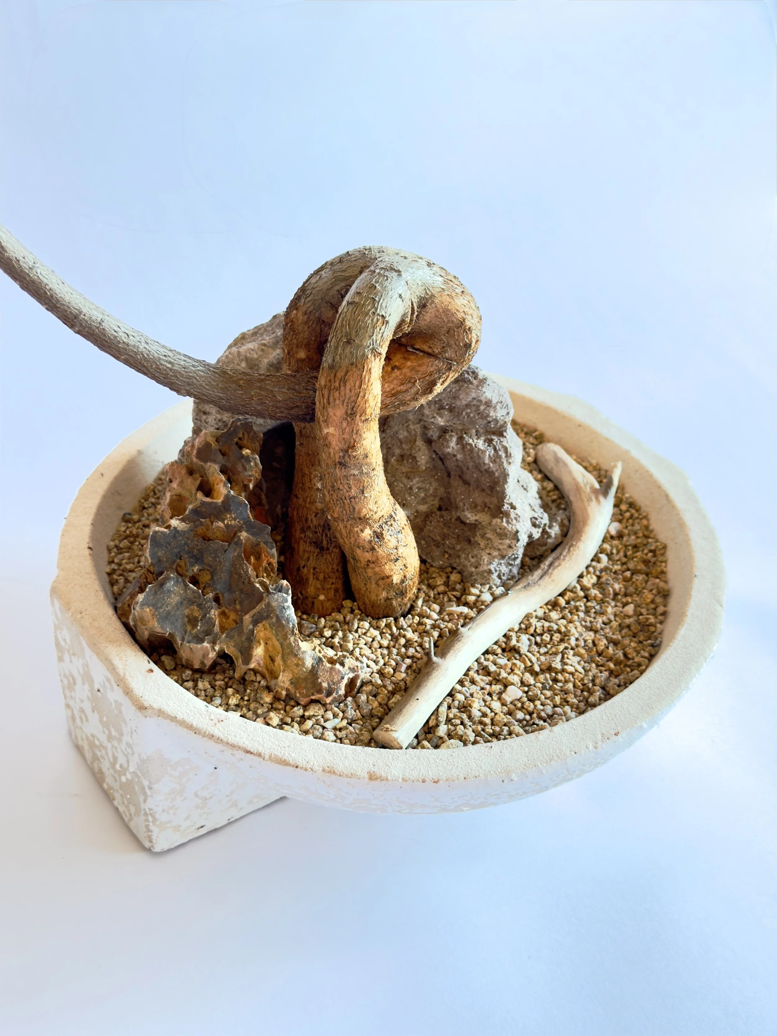 A desert-themed craft display featuring a large, weathered snake sculpture, a rock, a leaf-like object, a white branch, and small gravel, all in a round white container. Chicago plants.