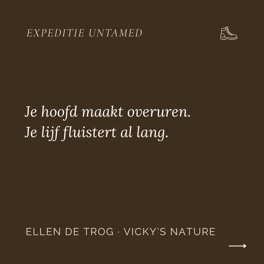 Drie lagen, &eacute;&eacute;n expeditie. Meer info via de link in bio. 🥾