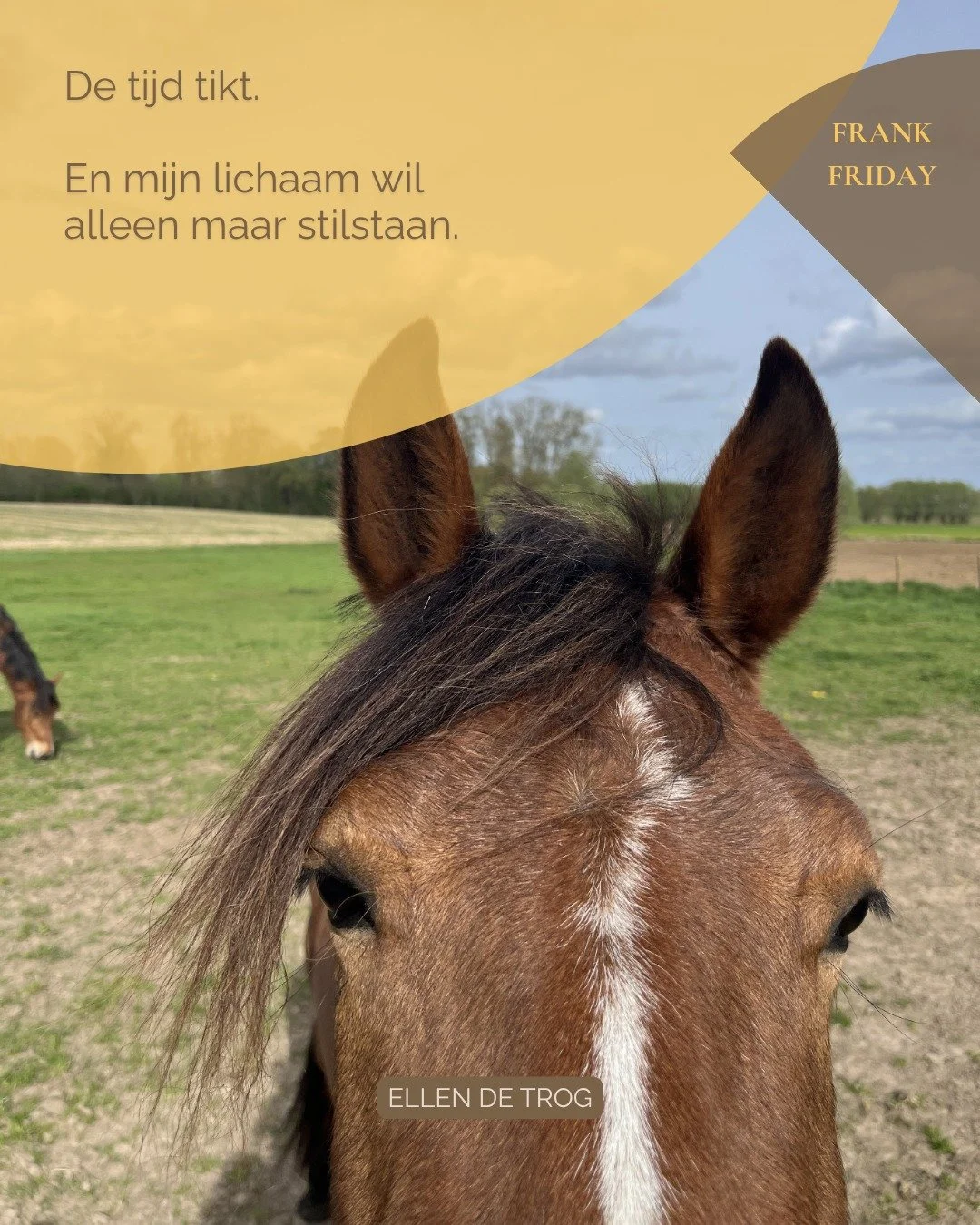 Soms heeft het lichaam het gewoon voor het zeggen.

Om even te vertragen, te voelen en terug thuis te komen in jezelf.

Dat gun ik iedereen en daarom organiseer ik samen met Vicky een gratis mini-expeditie. 

Voor wie wil voelen wat het is om even te
