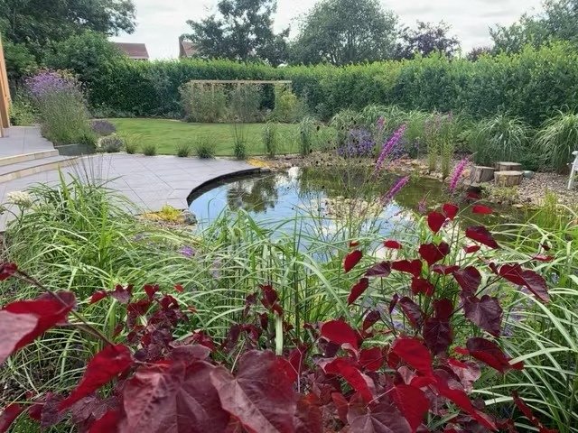 Large, wildlife pond