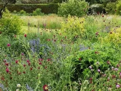 Wildlife Garden by the water