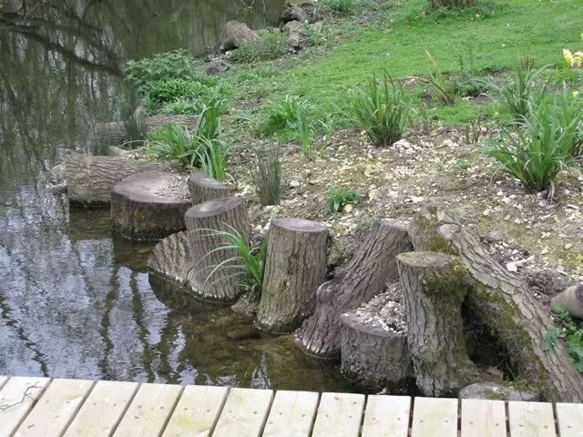 Shoreline log habitat