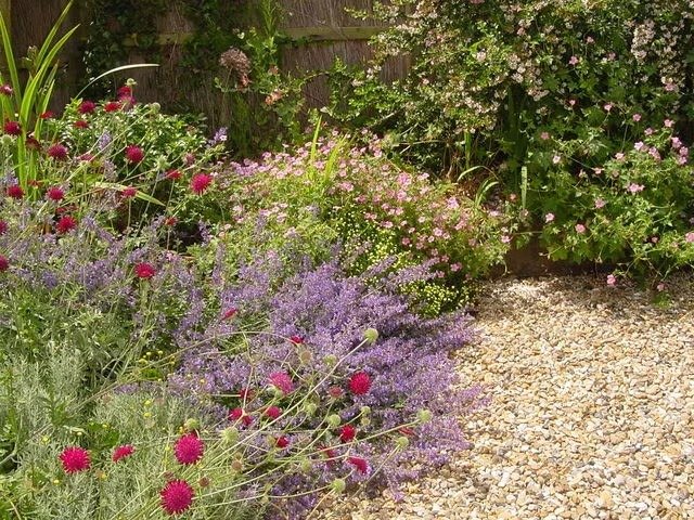 Pollinator friendly planting