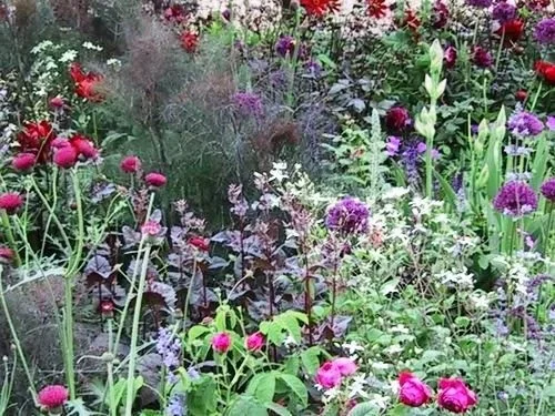 imgi_7_Chelsea-Planting.jpg
