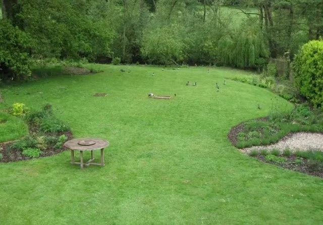 View across lawn