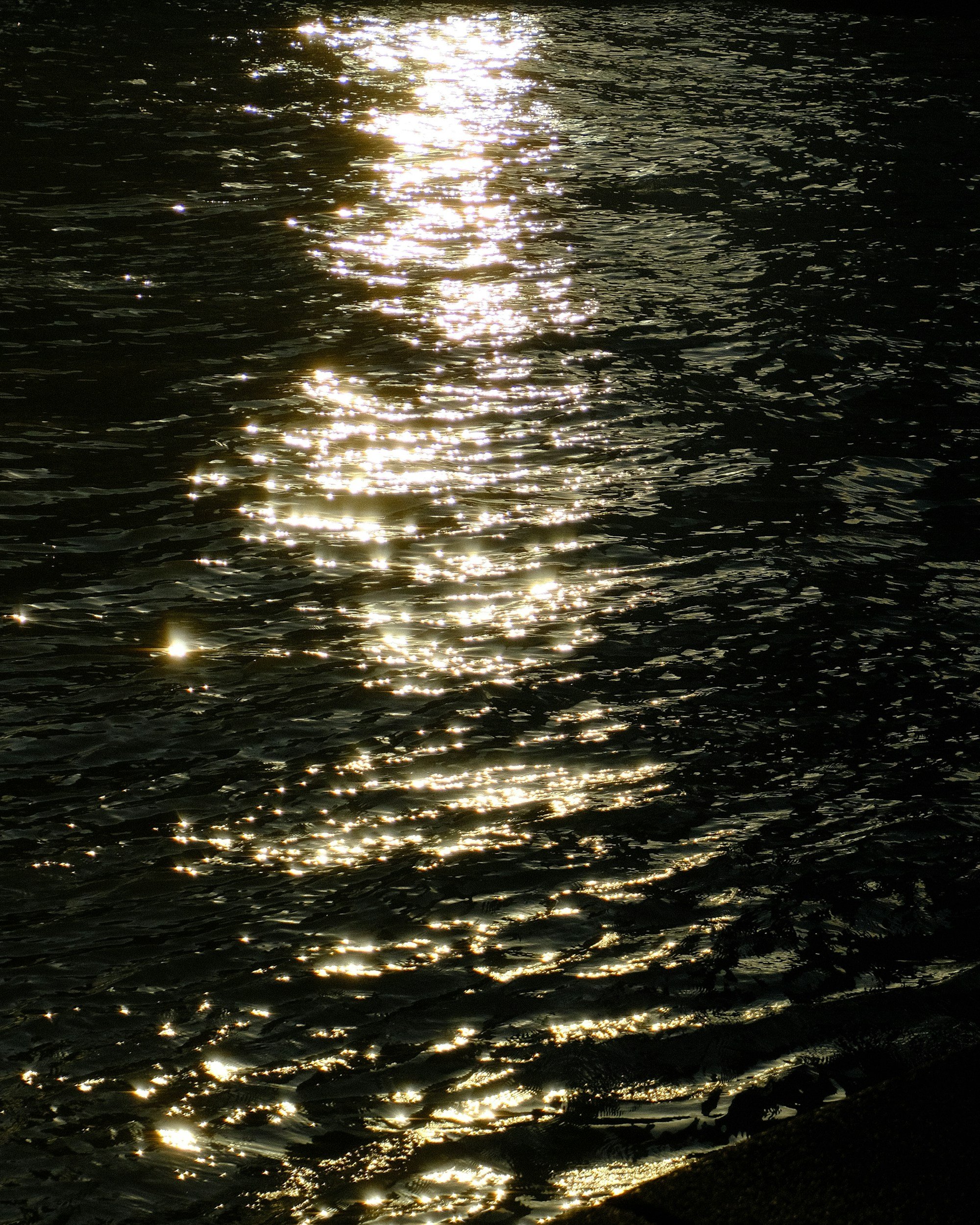 Sunlight reflecting off the surface of water creating sparkling highlights.