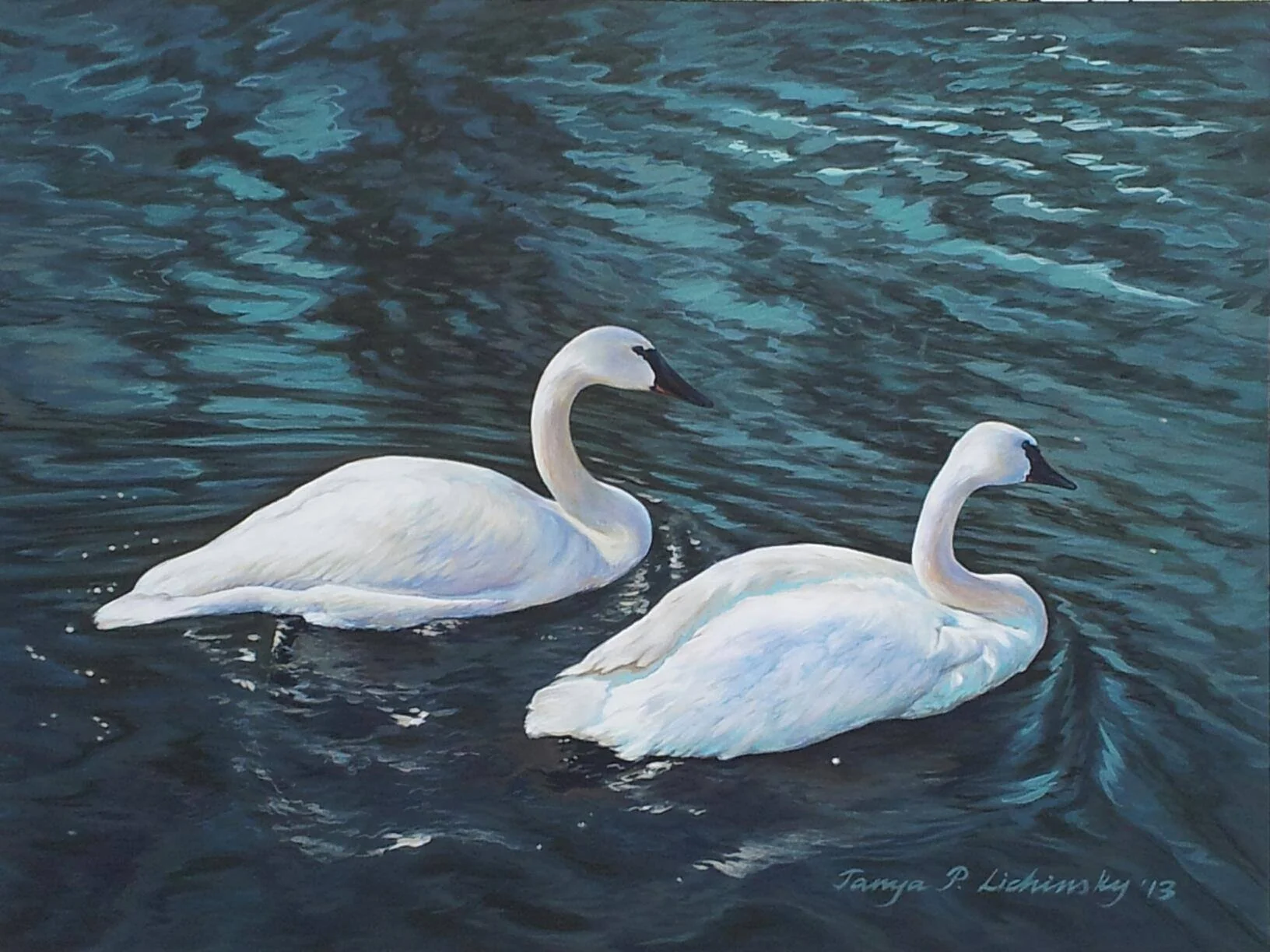 Swans