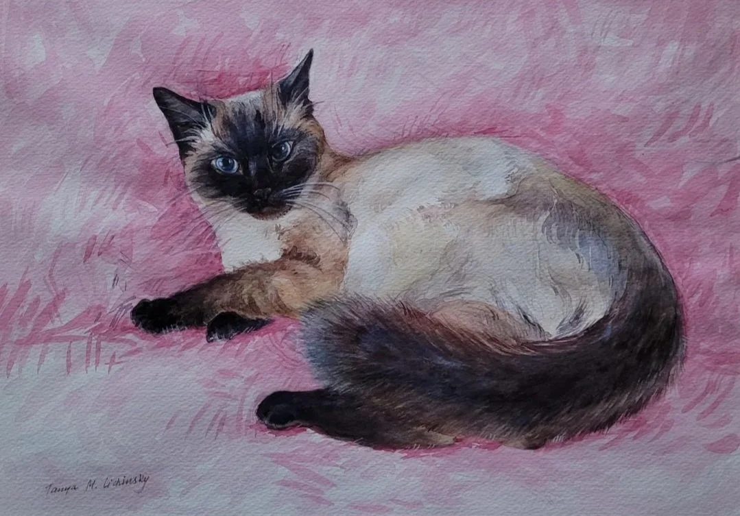 Watercolor painting of a Siamese cat lying on a pink background, looking at the viewer.