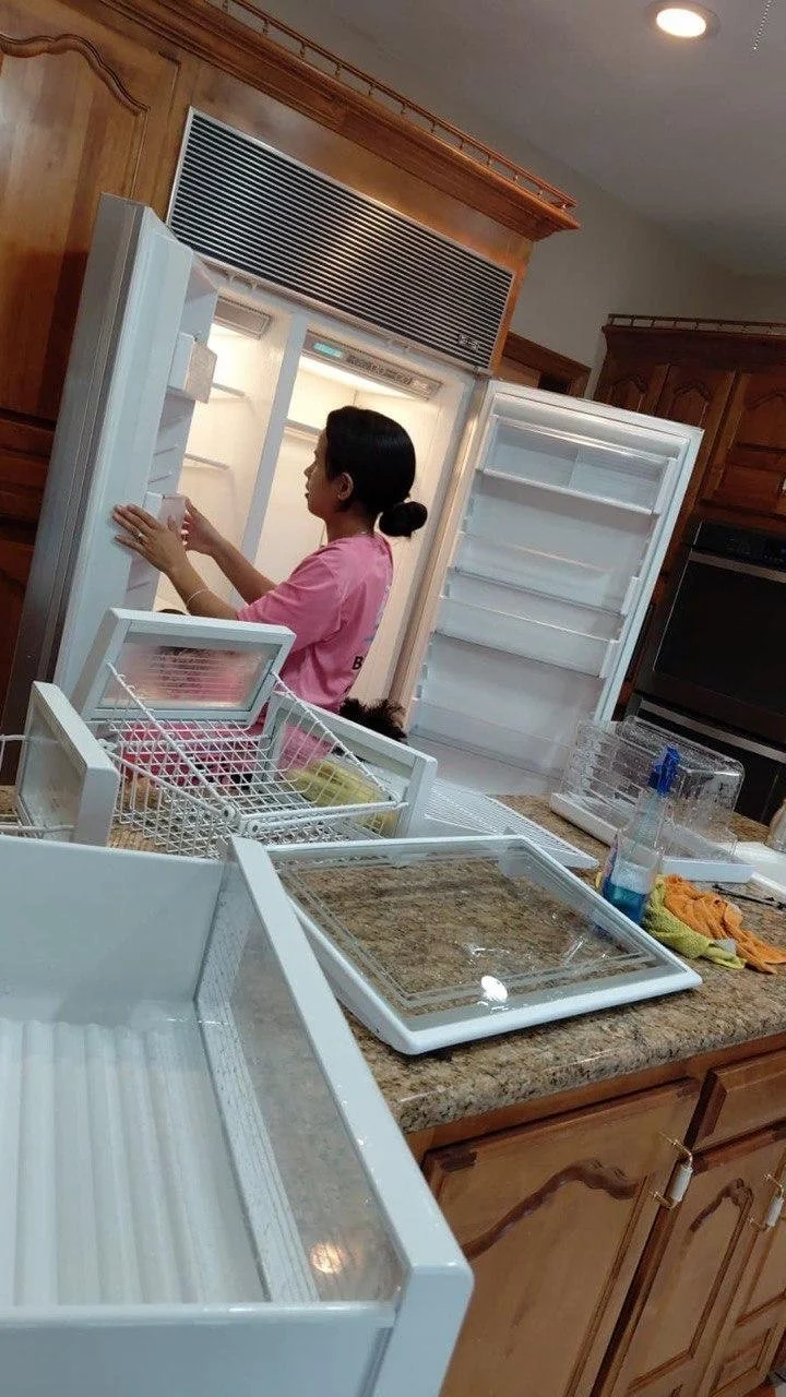 Interior Refrigerator Cleaning