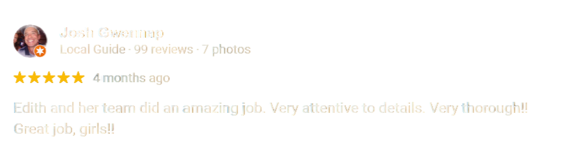 Screenshot of a positive online review for Edith from a local guide named Josh Gwannap, praising her team’s work.