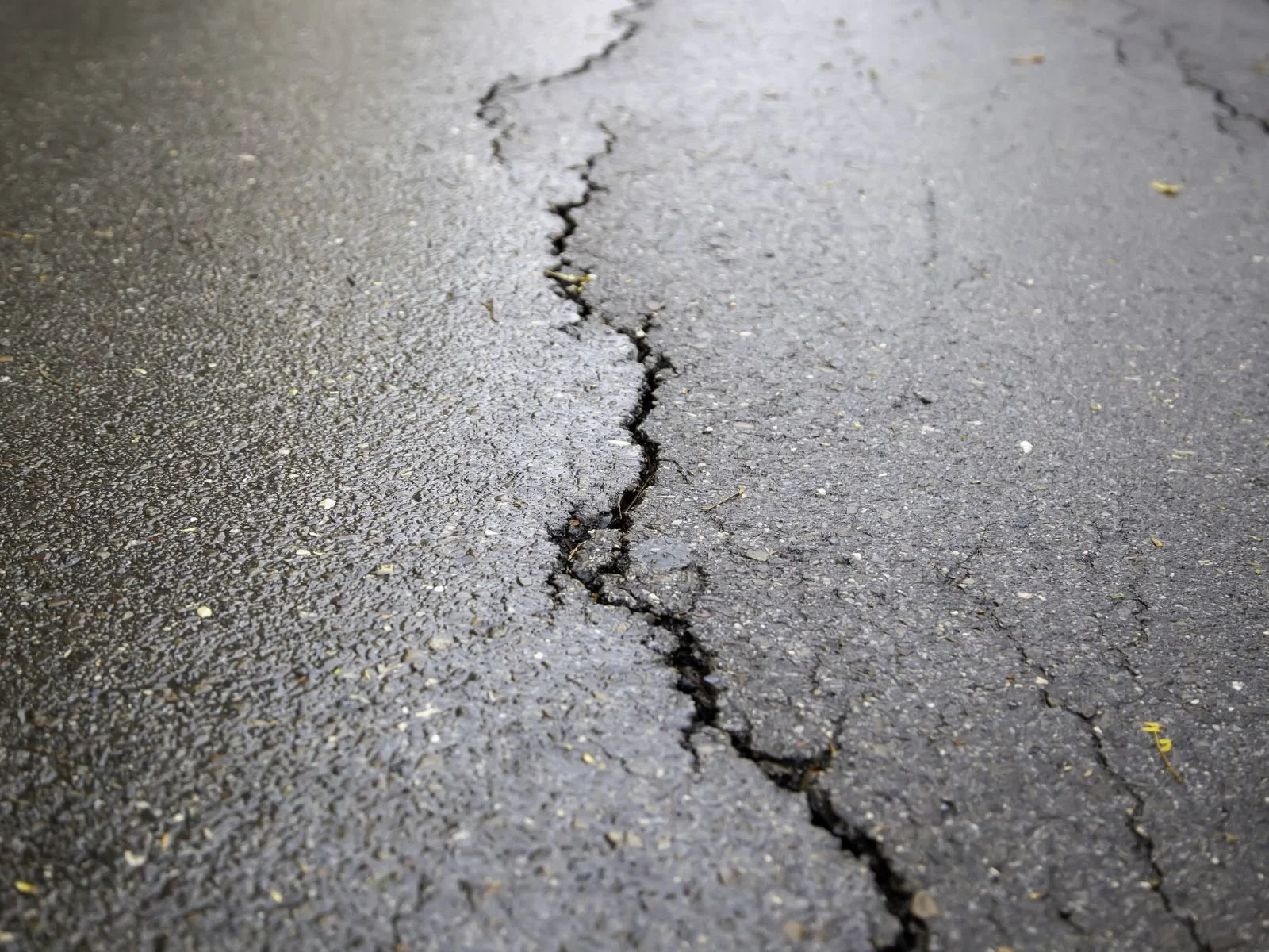Close-up photograph of a crack on an asphalt pavement.