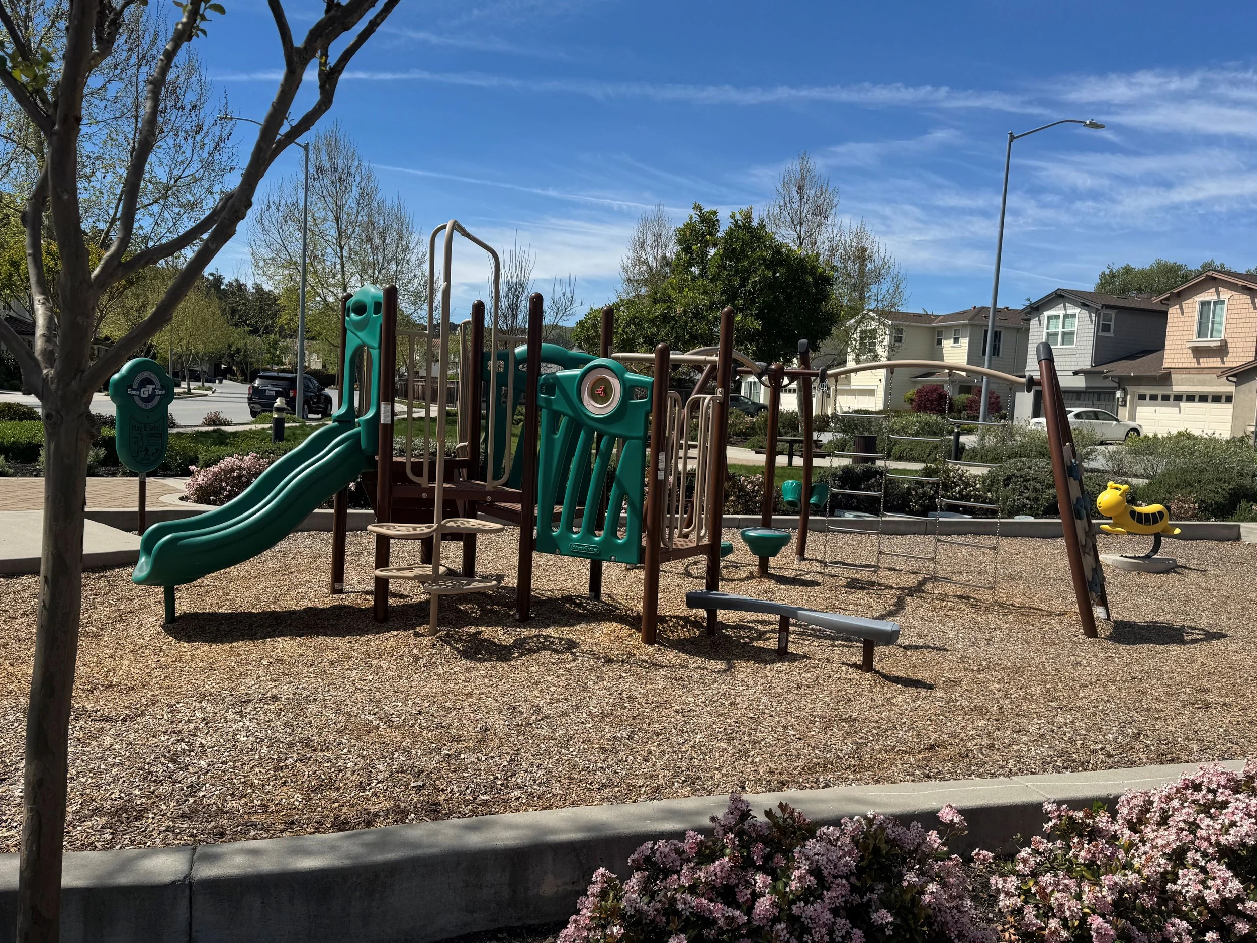 A playground with a slide, climbing structures, and a springy yellow animal seat, surrounded by flowers and trees in a suburban neighborhood under a blue sky.