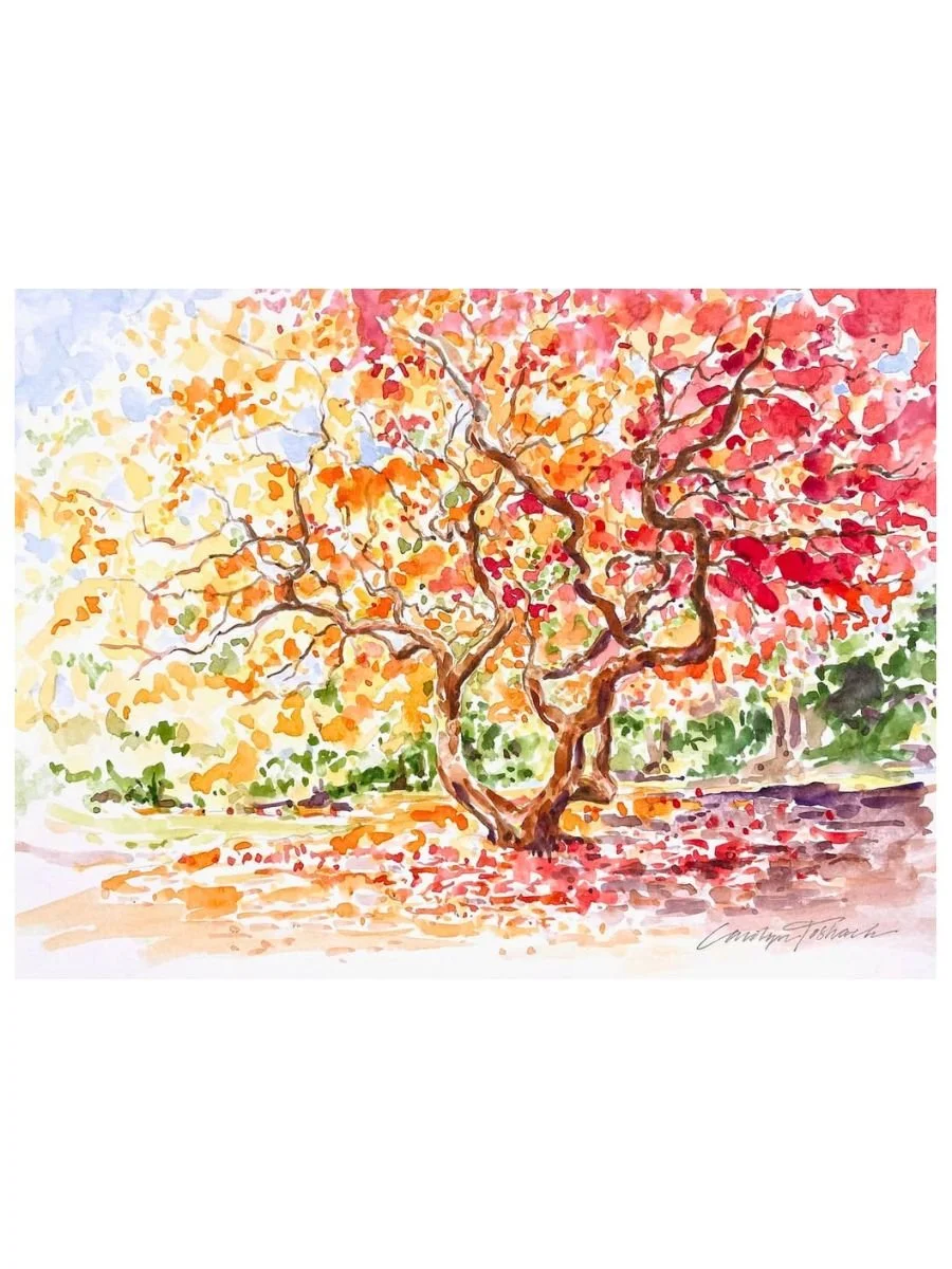 Autumn Colors