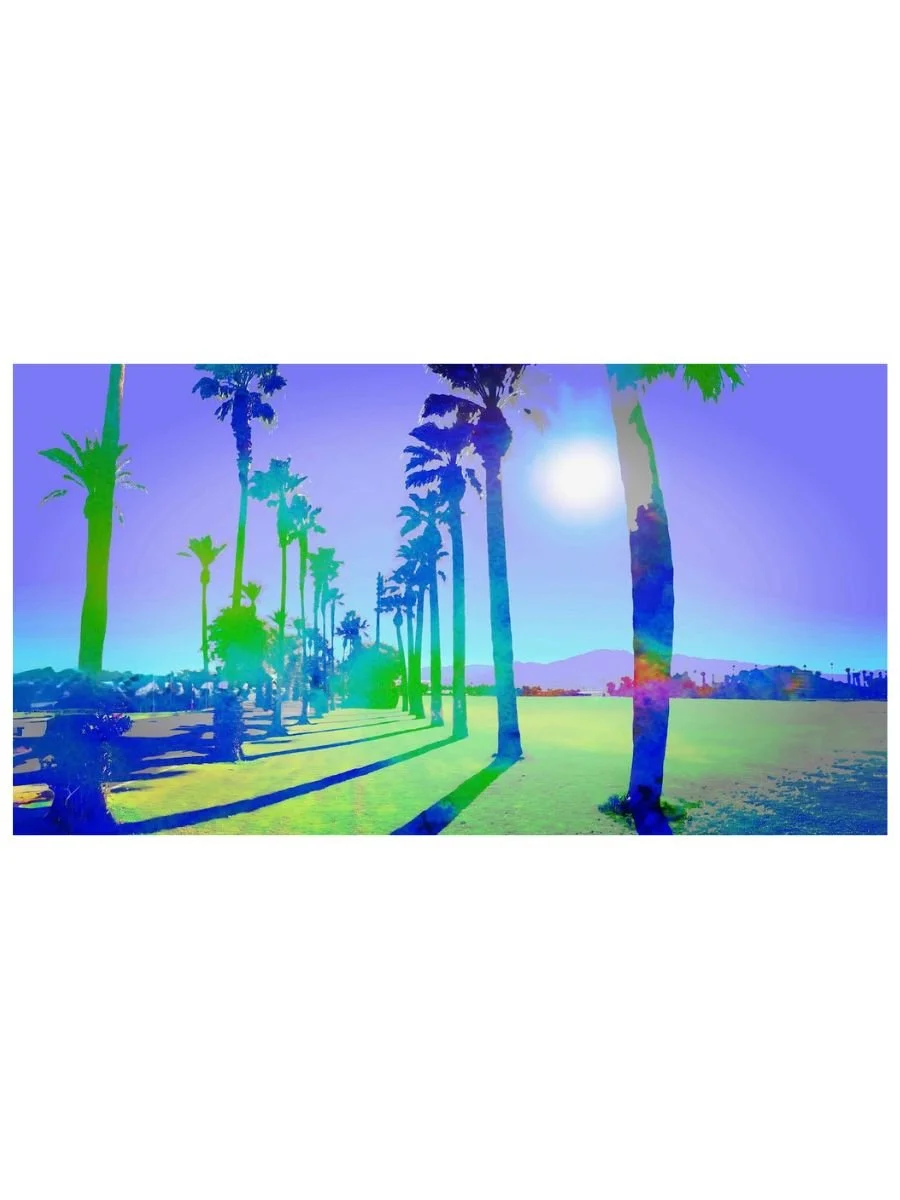 Coachella Fest Fields