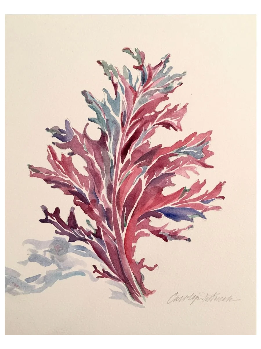 Dancing Kale