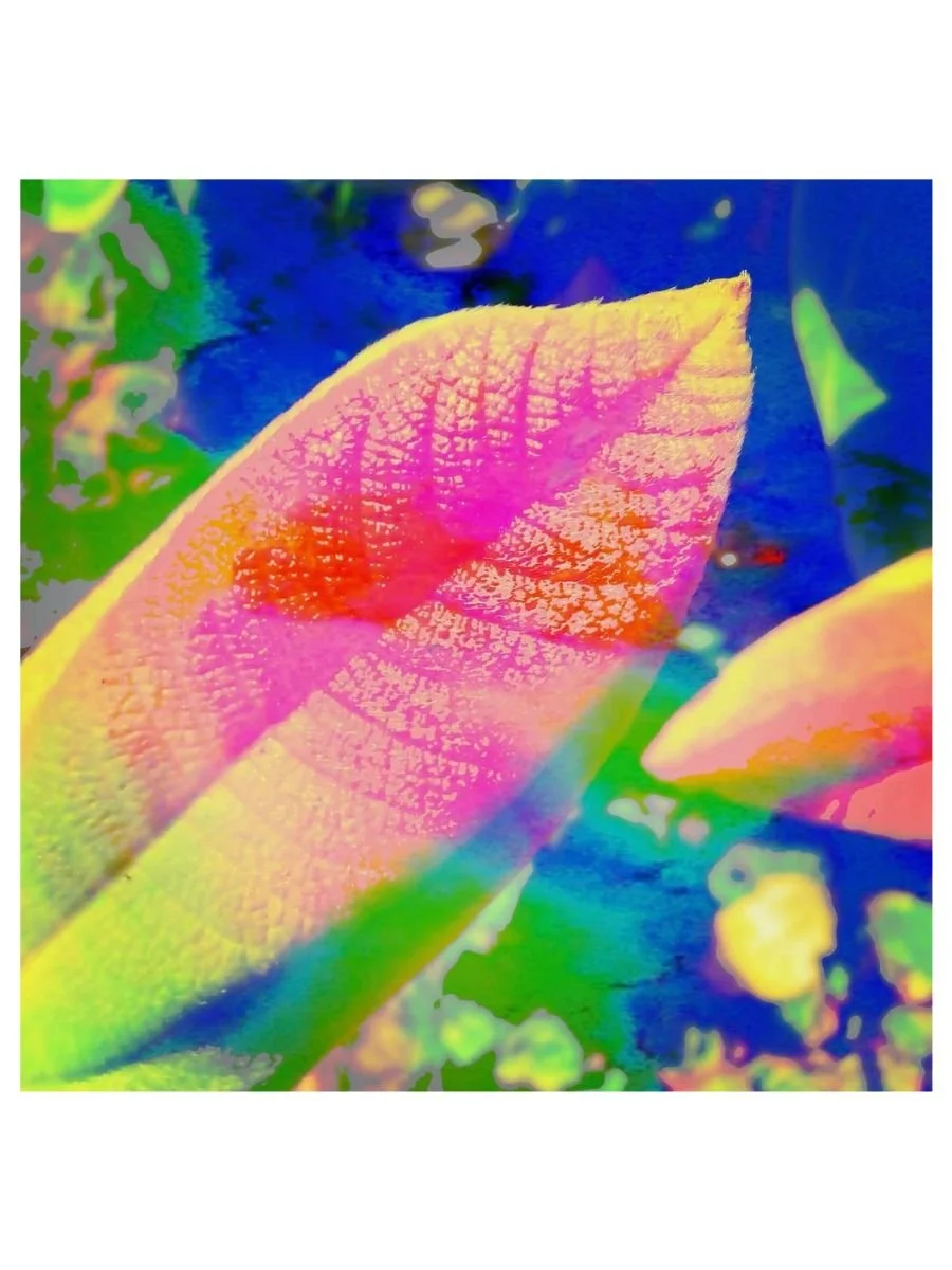 Neon Leaf