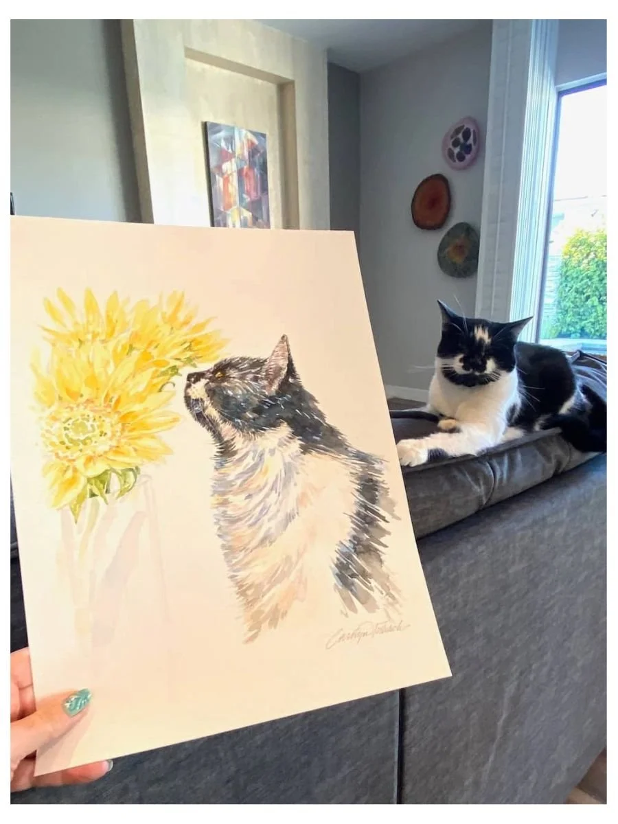 Pet Portraits