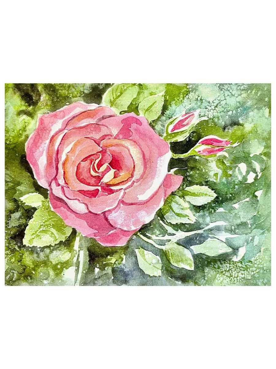 Pink Roses