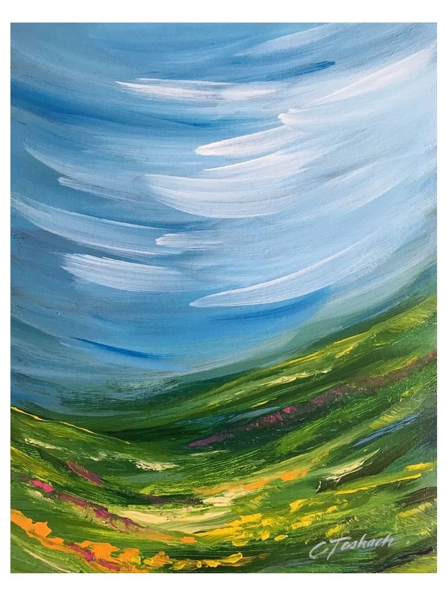 Spring Skies