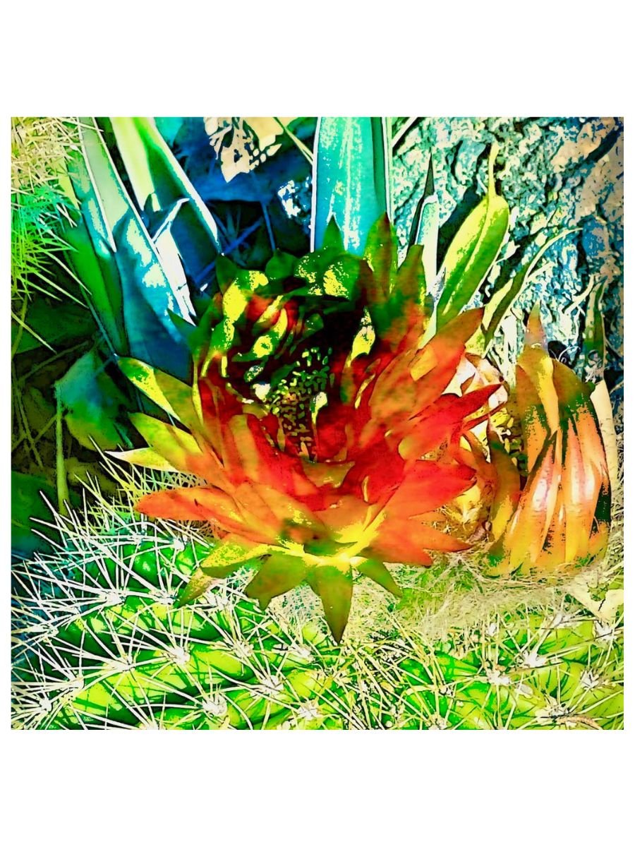 Blooming Barrel