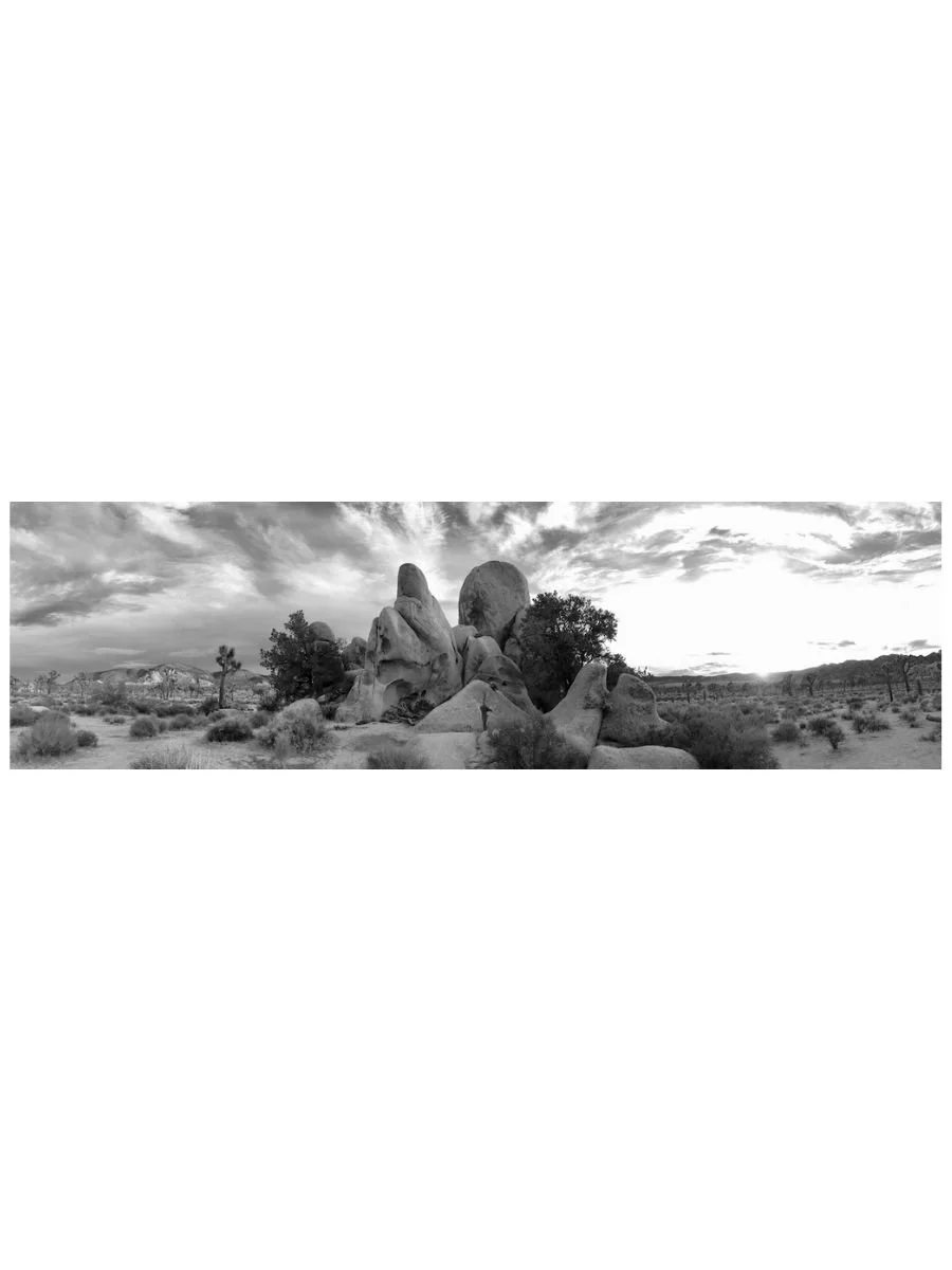 Joshua Tree