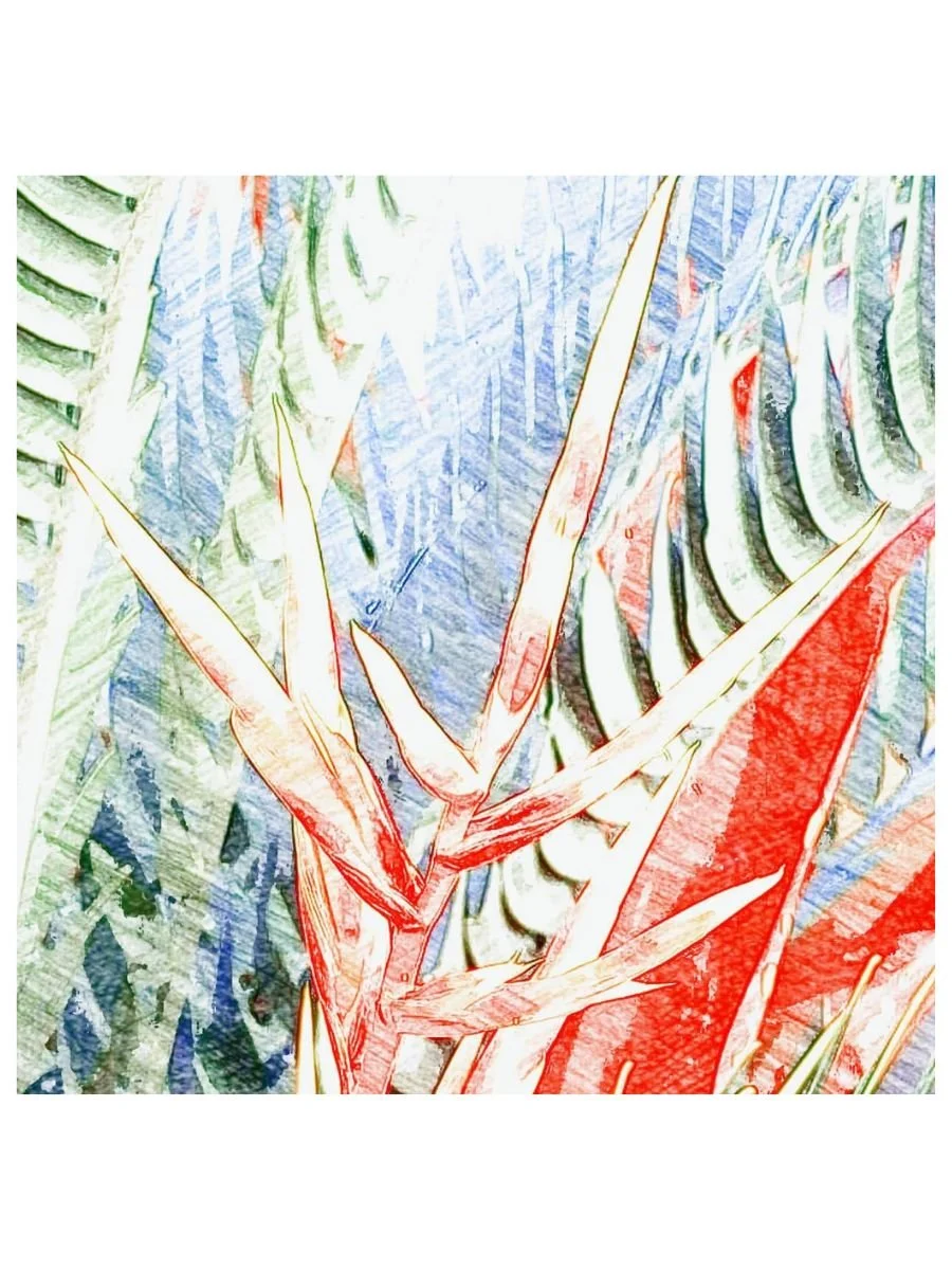 Tropic Beauty