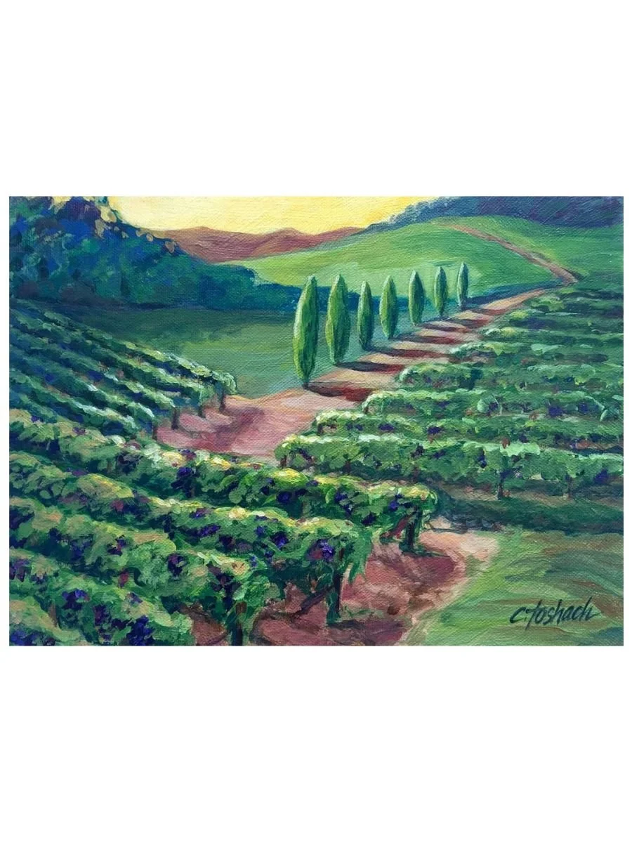 Sunrise Vineyard