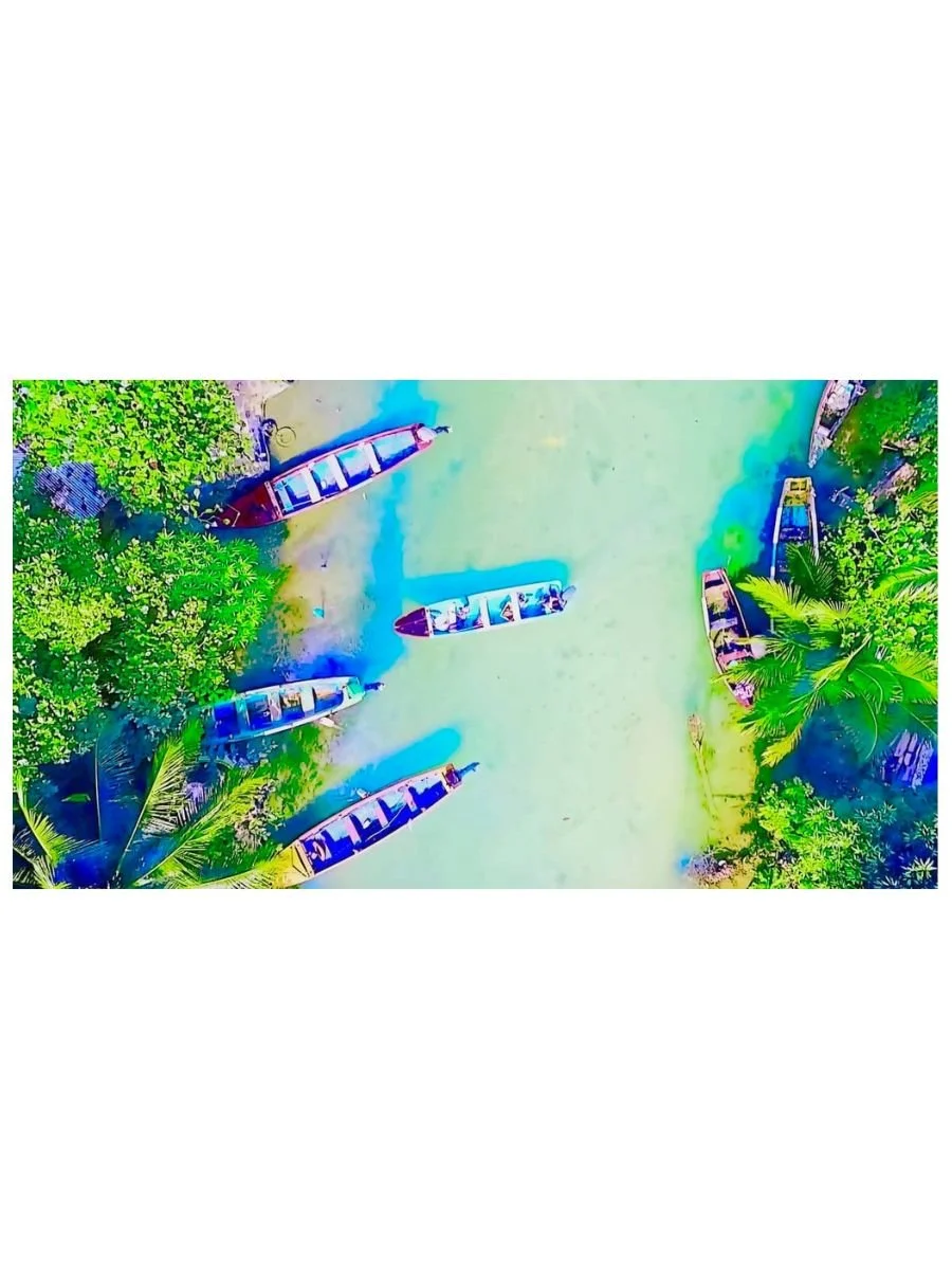 Tropical Freeway