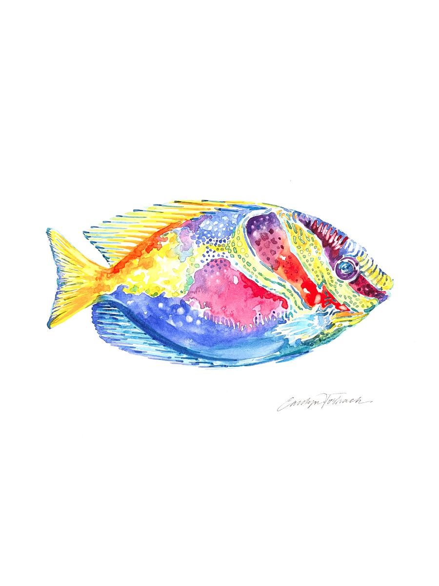 Rainbow Fish