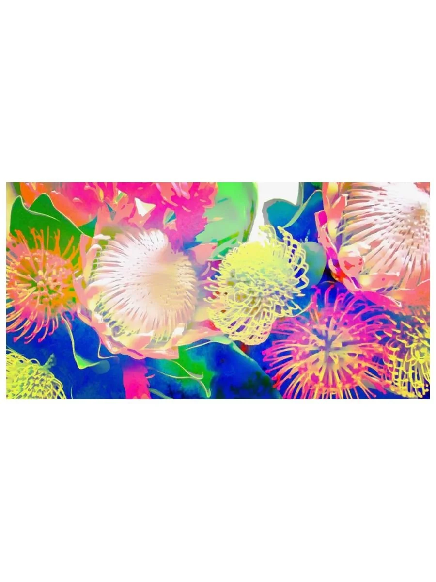 Pincushion Proteas