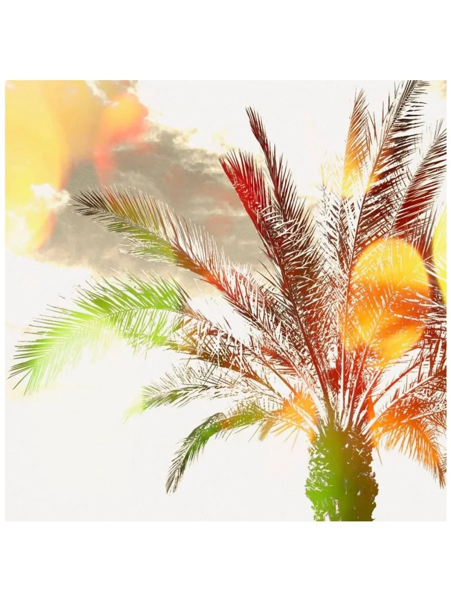 3x4 Format-Digital-Sunny Palm.jpg