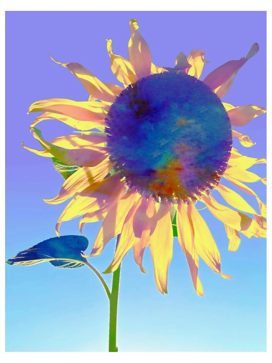 Sun Burst