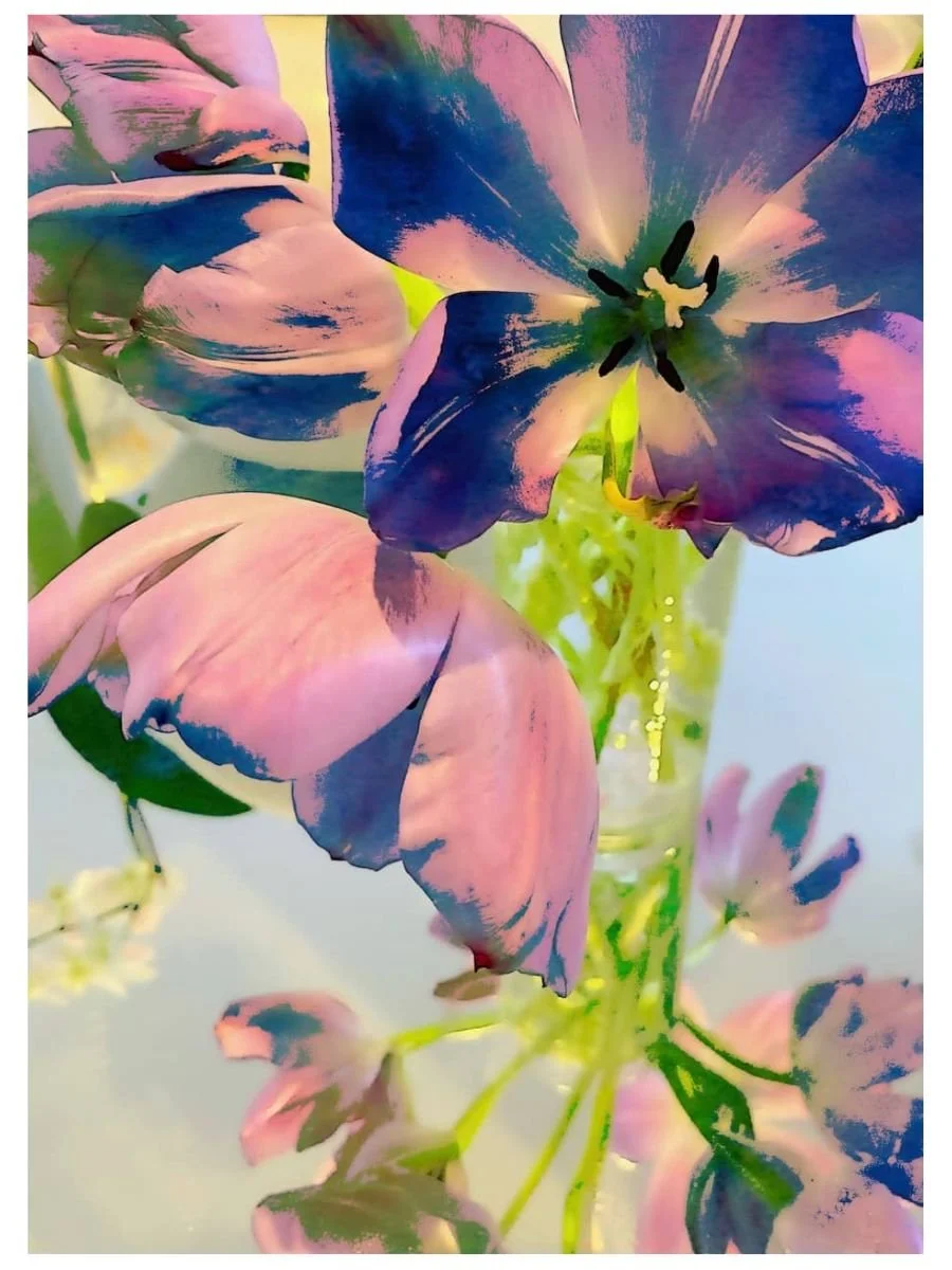 Blue Tulips