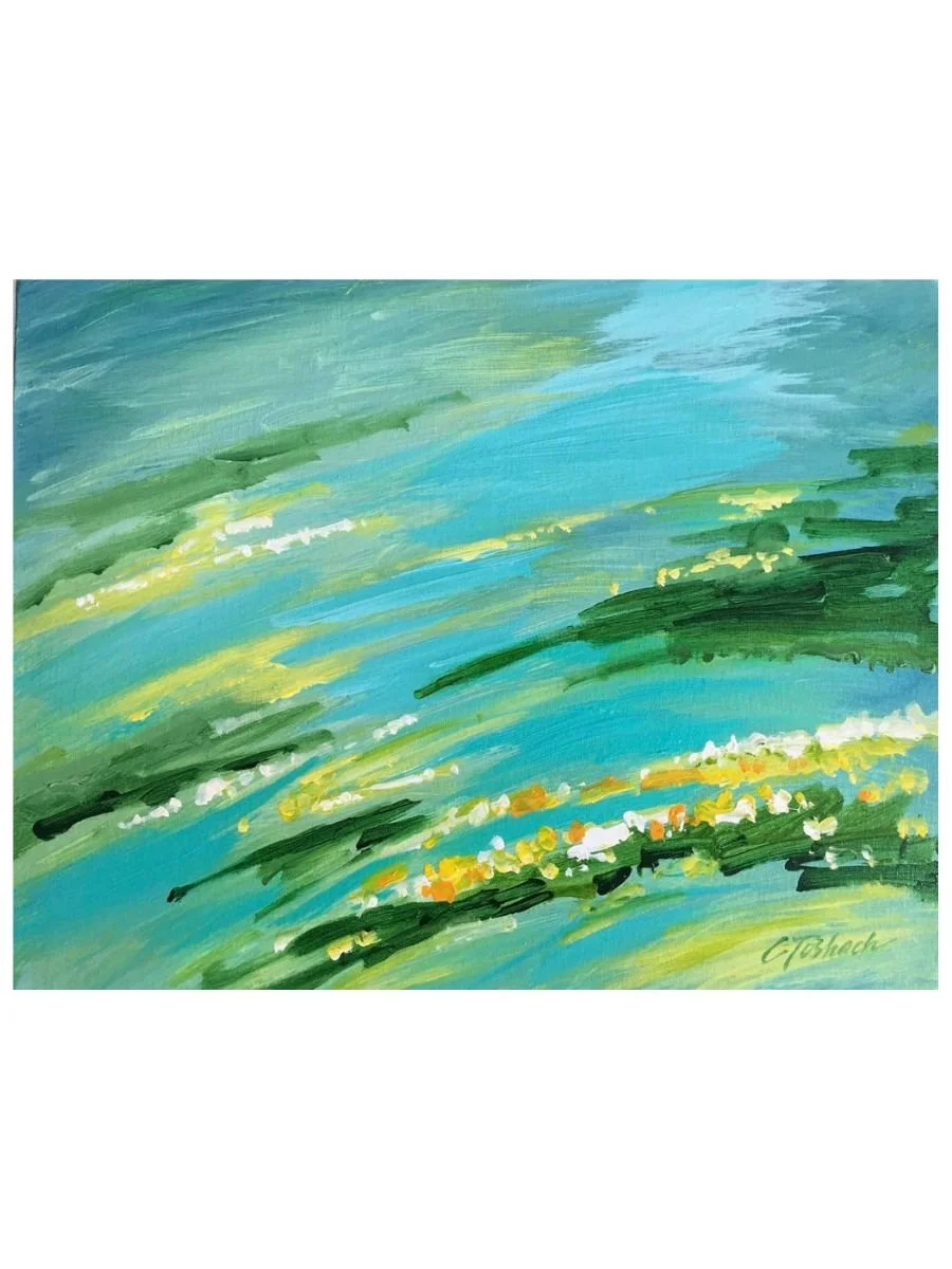 Sky Meadows