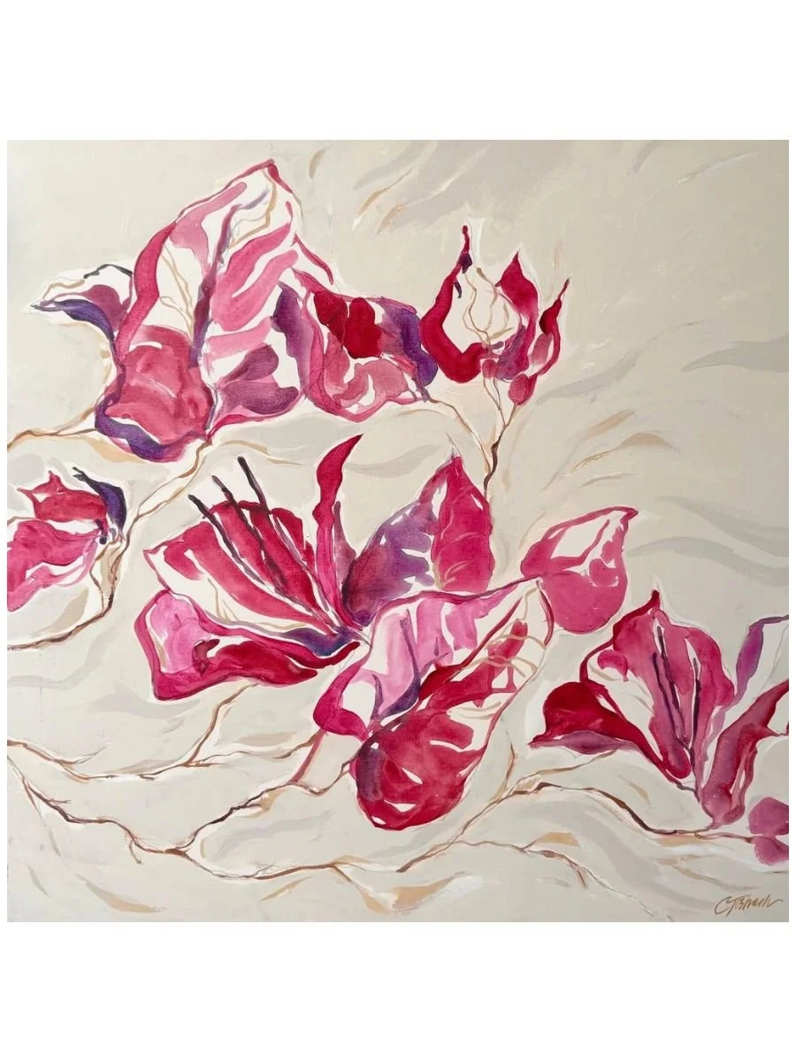 Bougainvillea