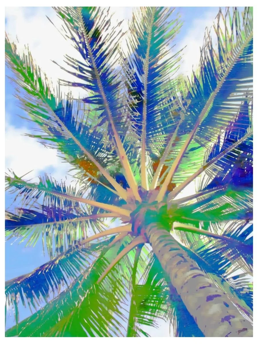3x4 Format-Digital-SkyPalm.jpg