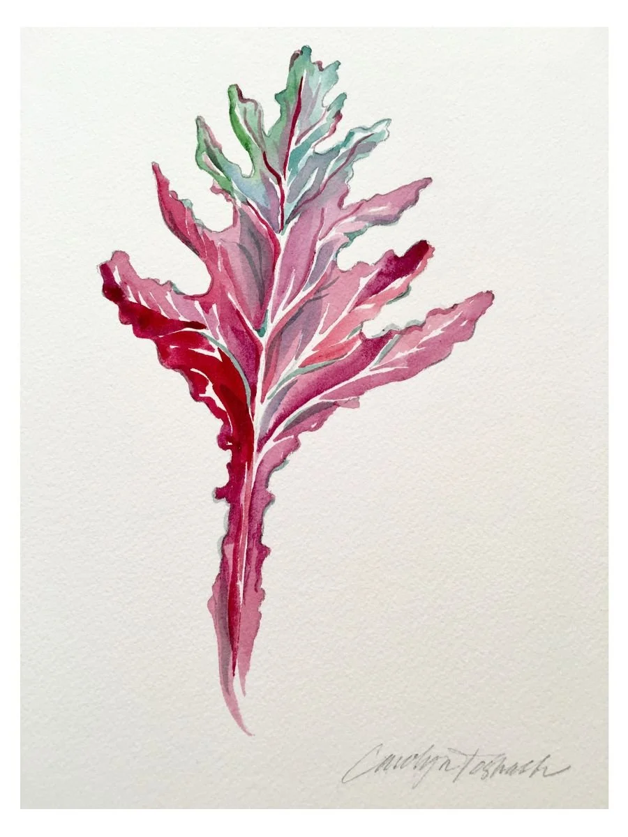 Kale Leaf