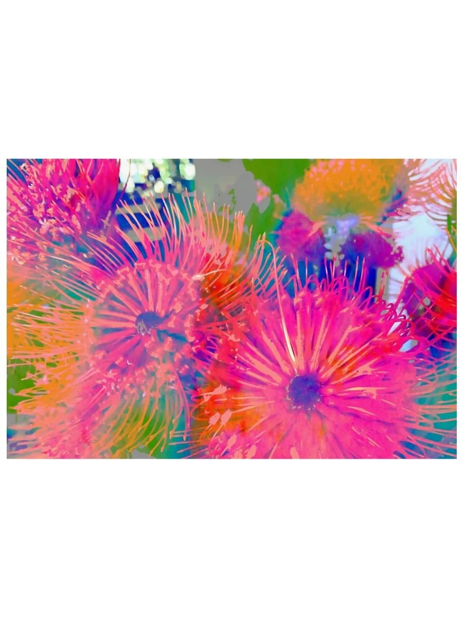 Dayglo Bursts