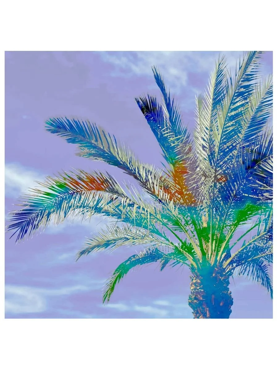 3x4 Format-Digital-CoolPalm.jpg