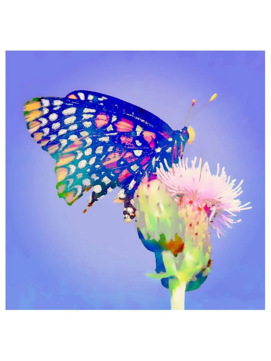 Flutterby II