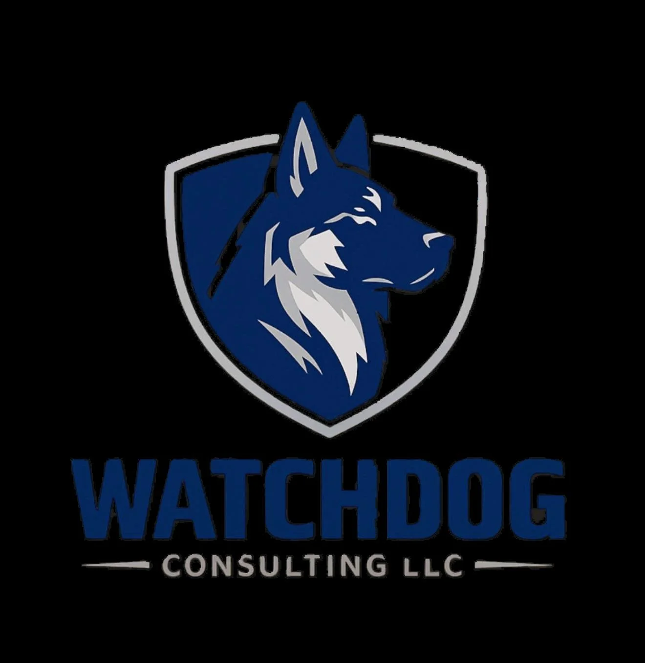Watchdog Consulting LLC.