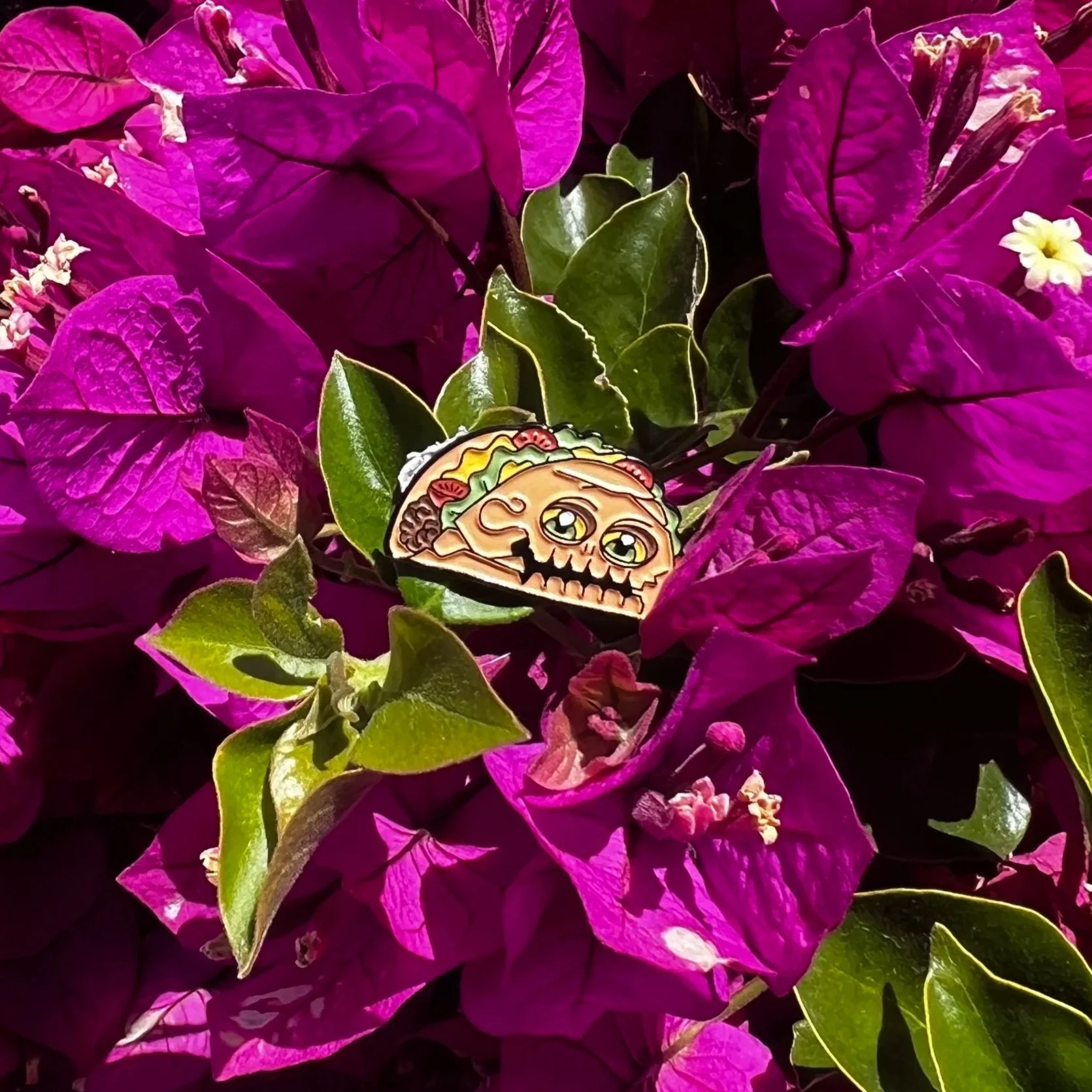 Enor taco monster enamel pin with floral background