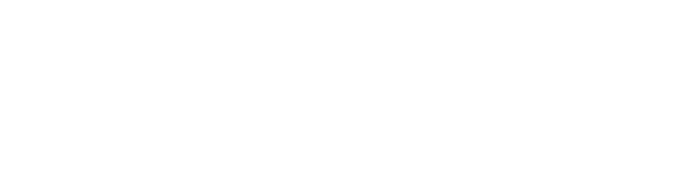 CADENCE LITIGATION
