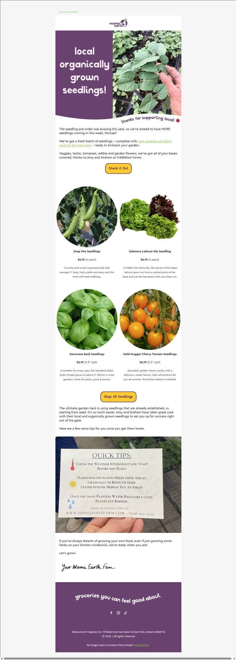 Seedlings Are Back