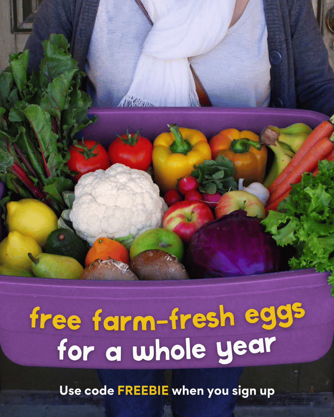 V2_Static_Legacy_ImageOnly_Free_Eggs_4x5_082825.png