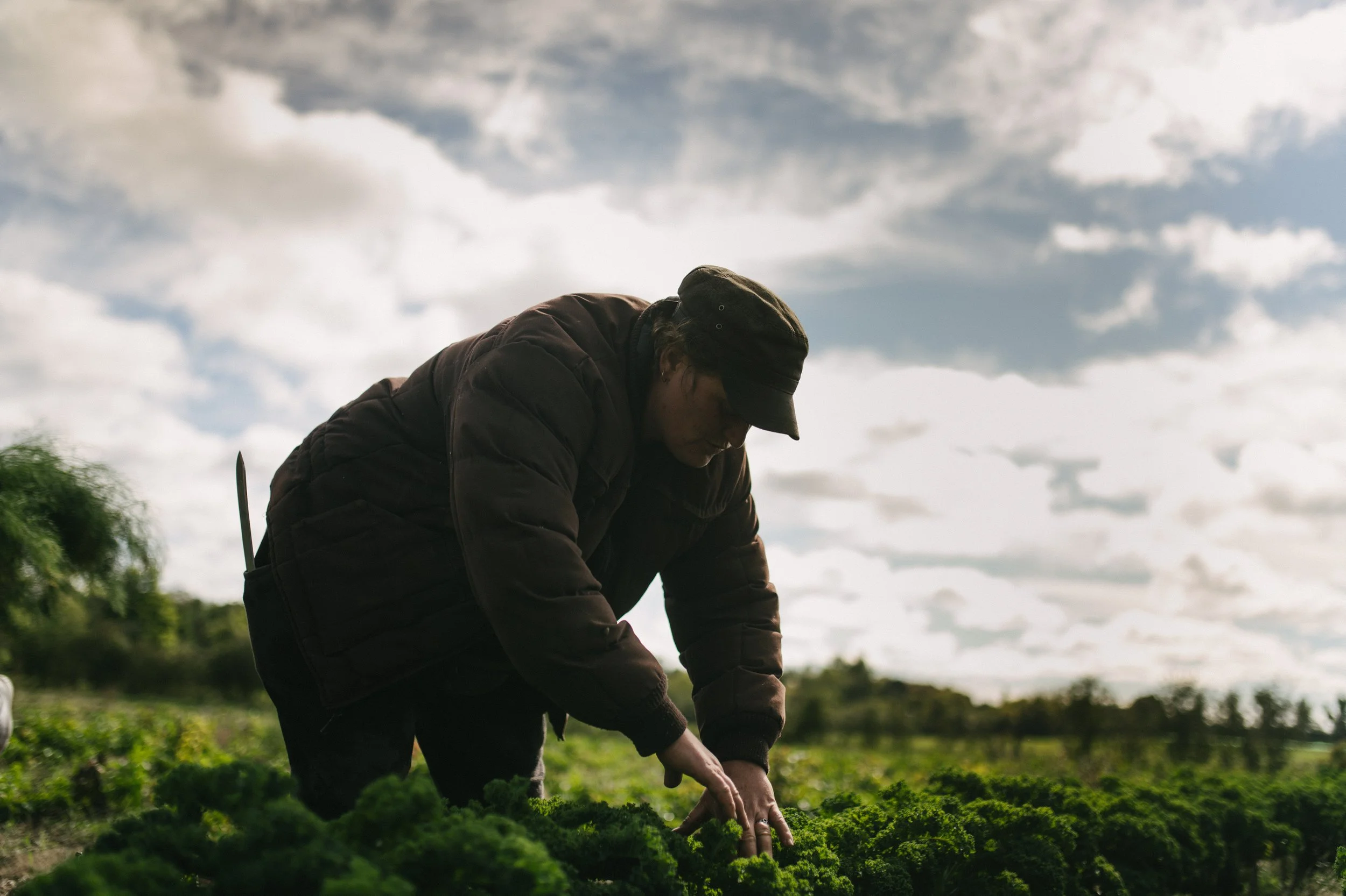 Doing More with Less: An Acquisition Story