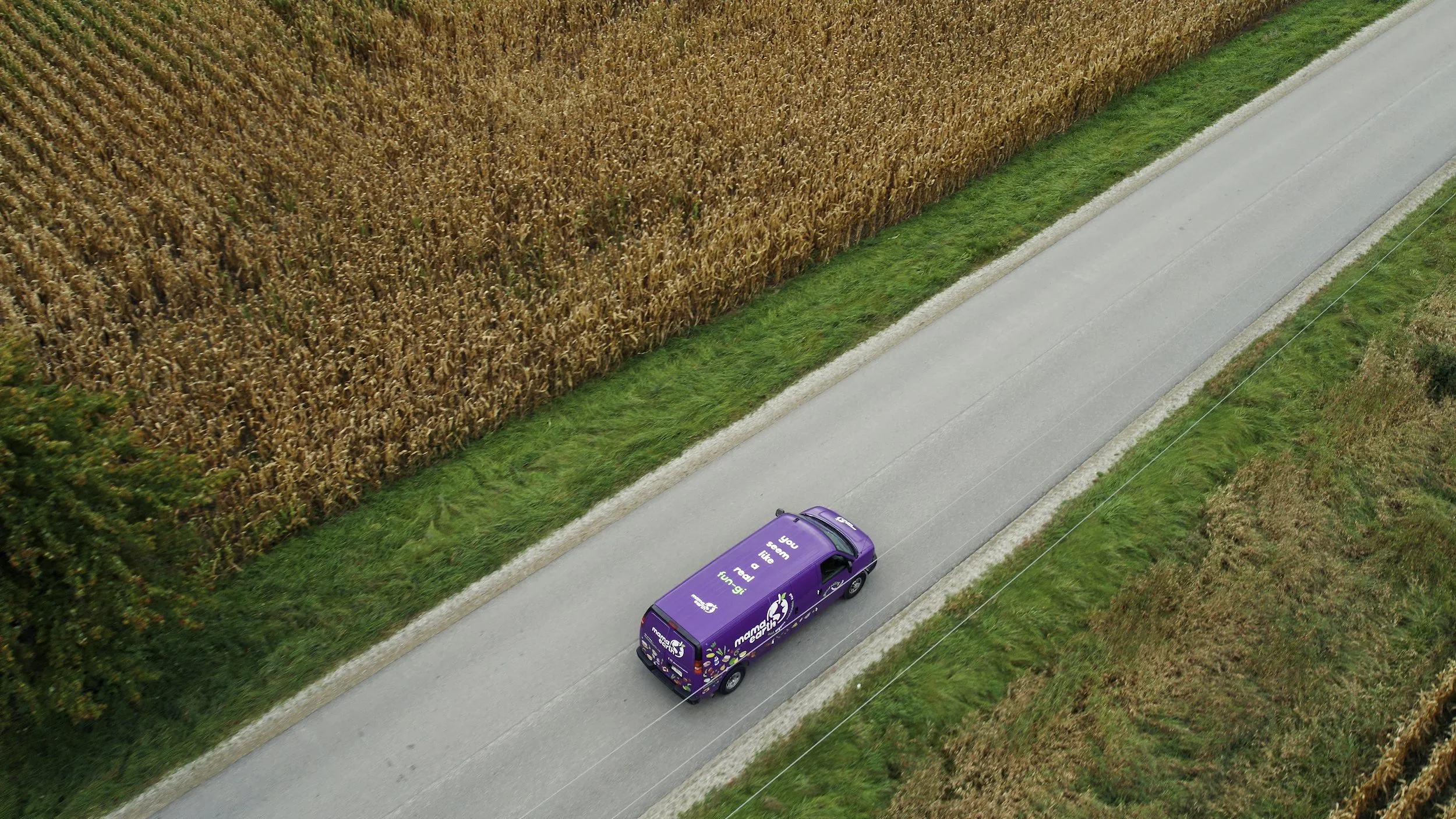 Van - Drone Shot (1).jpg